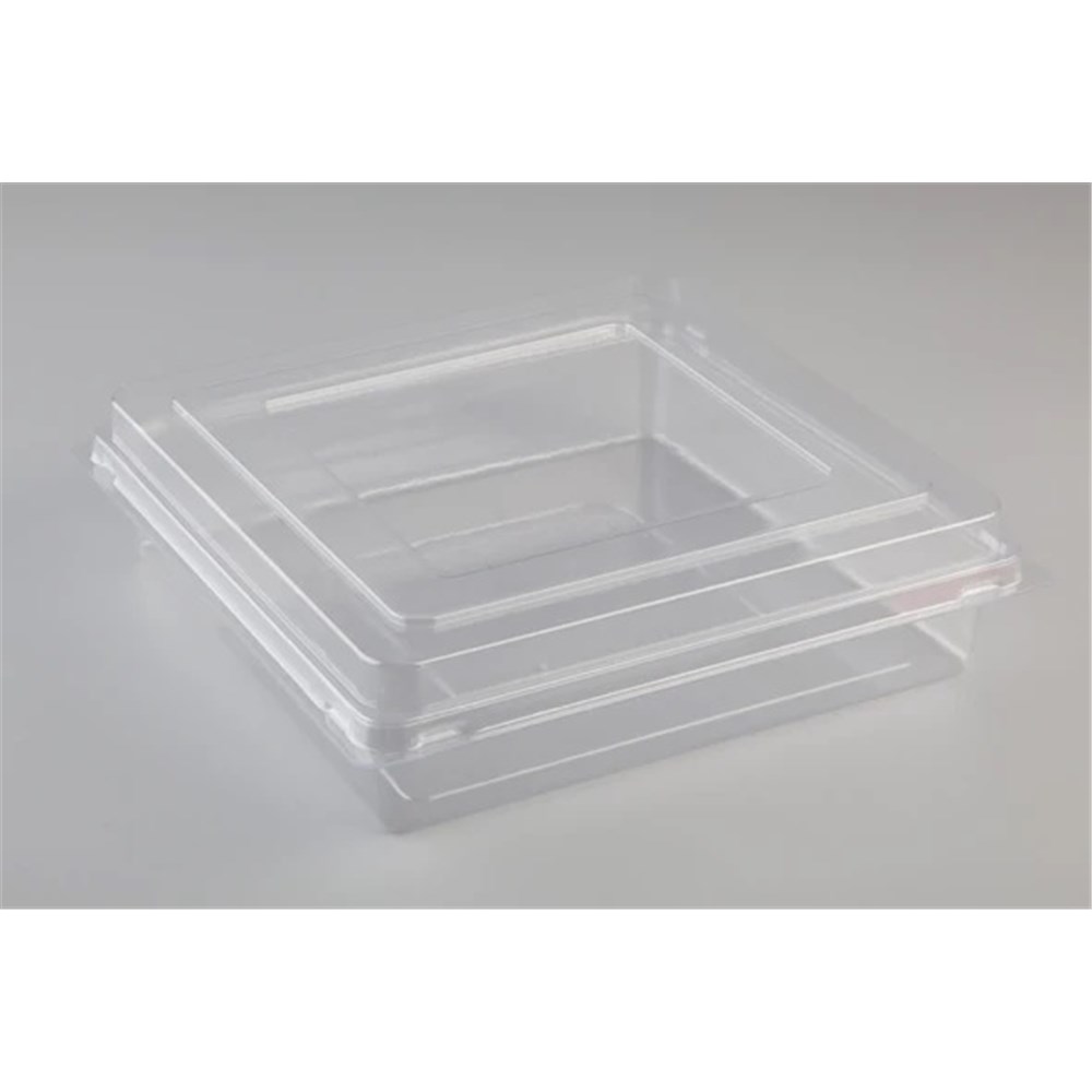 Containers Lock Top Clear P5 (500)