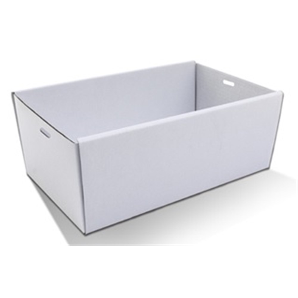 Tray Catering White Small (50)