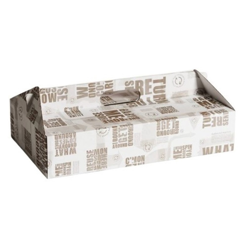 Boxes Carry Enviro Visy No.3 (100)