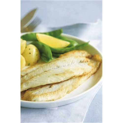 Barramundi Fillets 200/300 Top Sail 5kg 