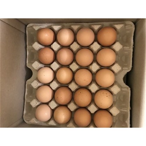 Eggs 700g Free Range Loose 15doz