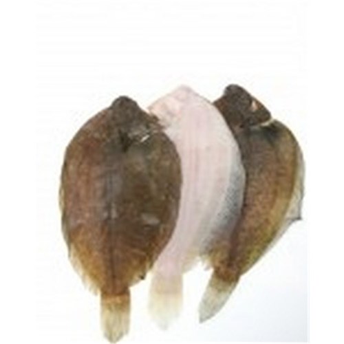 Lemon Soles 325/400 C 10kg