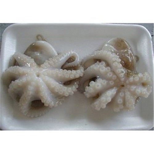 Octopus Baby 16/25 IQF 1kg
