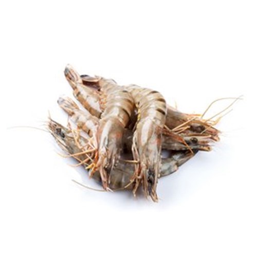 Prawns Whole Green Kings U/10 5kg