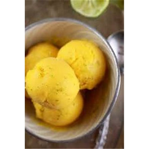 Yoghurt Frozen Mango 24x100ml Everest