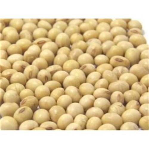 Beans Soya 25kg