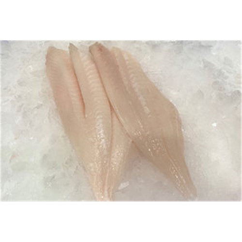 John Dory Fillets Skin On 150/200 5kg