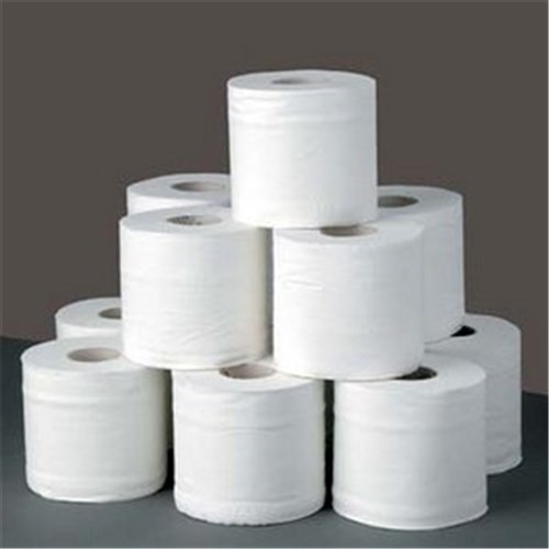Toilet Paper 3ply Premium(48)