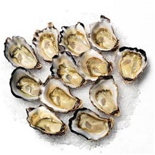 Oysters Pacific's Doz Fresh 