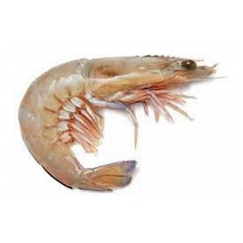 Prawns Whole Green Kings U/6 5kg