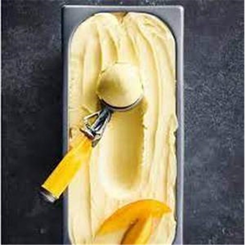 Sorbet Mango Norgan Vaaz 5L