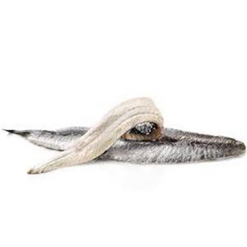 Anchovies White Fillets 1kg Tray