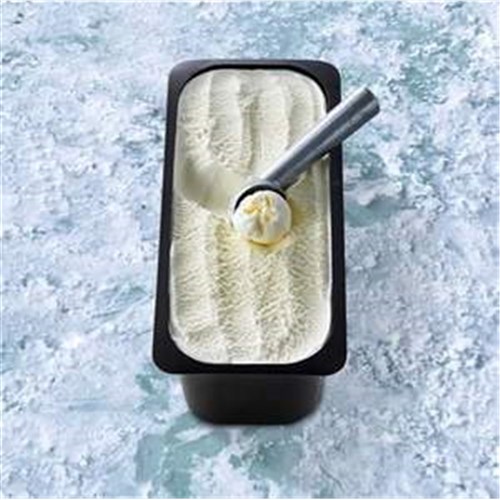 Gelato Coconut 5ltr Bravo 