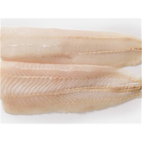 Hoki 6/8 Skin Off Stanford 6.8kg -TSK L 170-225g