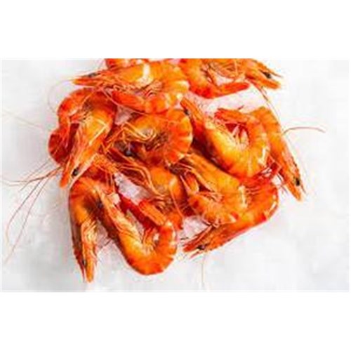 Prawn Tiger Cooked Tropic Co 3kg 10/15 Whole