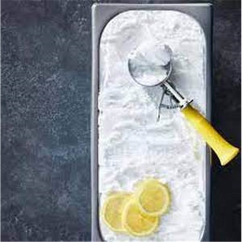 Sorbet Lemon 5ltr Bravo